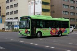 254462 B
